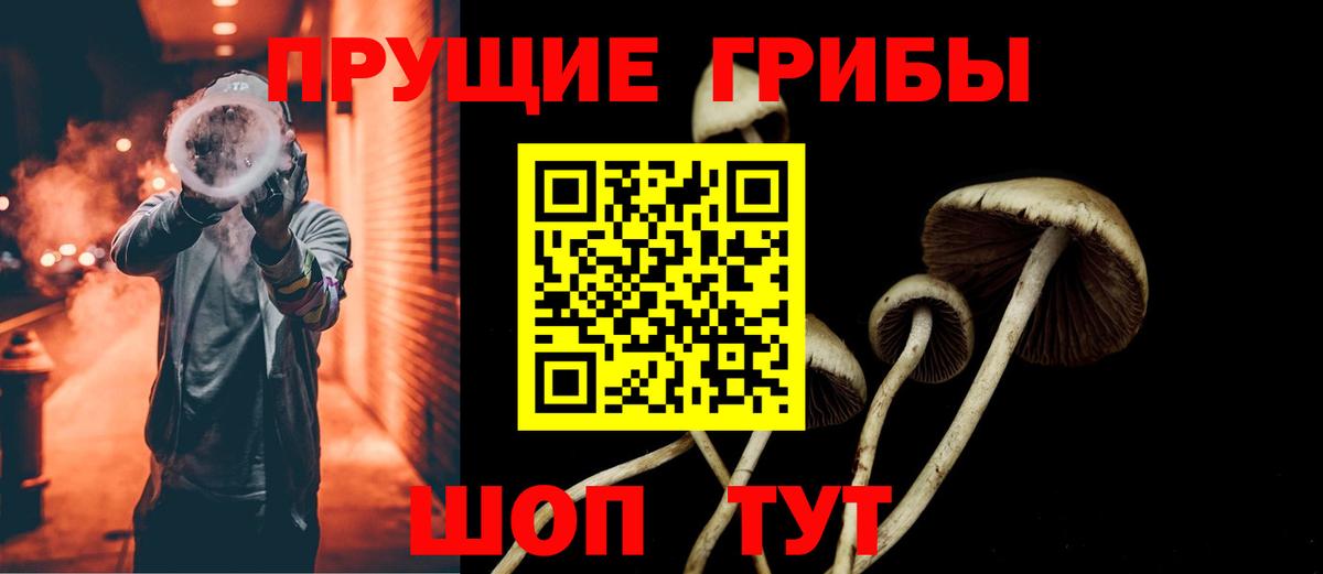 Галлюциногенные грибы мицелий Полысаево